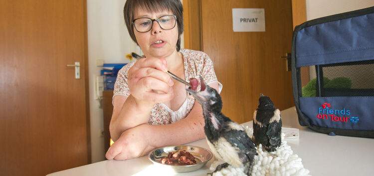 Hungrige Vogel-WG: Wenn die 49-jährige Esslingerin Anette Lampart mit dem Futter kommt, dann reißen ihre Schützlinge den Schnabe