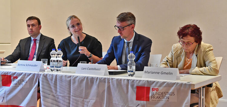 Über Arbeitsmigration diskutieren (von links): Nils Schmid, Bettina Schmauder, Lars Castellucci und Marianne Gmelin.Foto: Markus