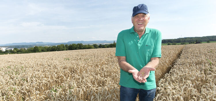 Karl Schumachers Weizen steht kurz vor der Ente. Das Getreide kann jetzt Trockenheit vertragen - ganz im Gegensatz zu frisch ges