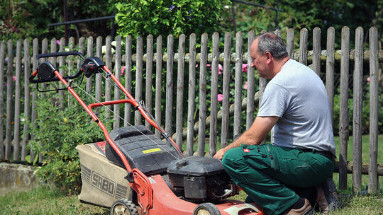 Rasenschnitt muss sein. In welchen Abständen der Rasenmäher angeworfen werden sollte, hängt laut dem Kirchheimer Gartenspezialis Rasenschnitt muss sein. In welchen Abständen der Rasenmäher angeworfen werden sollte, hängt laut dem Kirchheimer Gartenspezialis