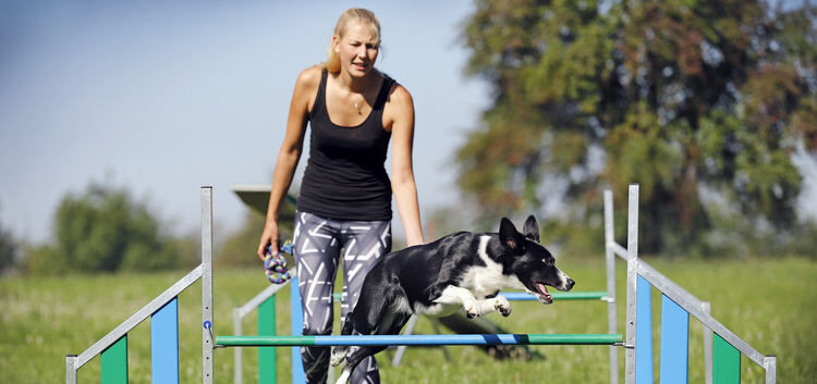 Sarah Lipinski trainiert seit über 13 Jahren Agility. Bei dieser Hundesportart werden die Vierbeiner in Beweglichkeit und Schnel