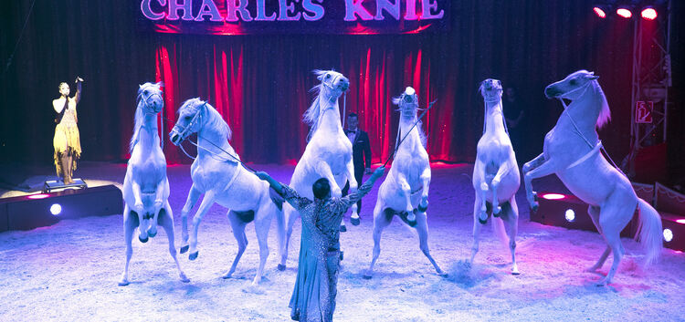Zirkus Charles Knie am Ziegelwasen