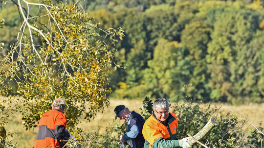 Landschaftspflegetag im Schopflocher Moor mit Schwäbischem Albverein, Naturschutzzentrum und RP, Naturschutz,