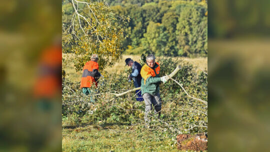 Landschaftspflegetag im Schopflocher Moor mit Schwäbischem Albverein, Naturschutzzentrum und RP, Naturschutz,