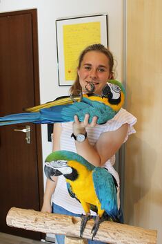 Durch tägliches Training mit den Vögeln gewinnt Anke Müller das Vertrauen der Tiere. Fotos: Caroline Holowiecki
