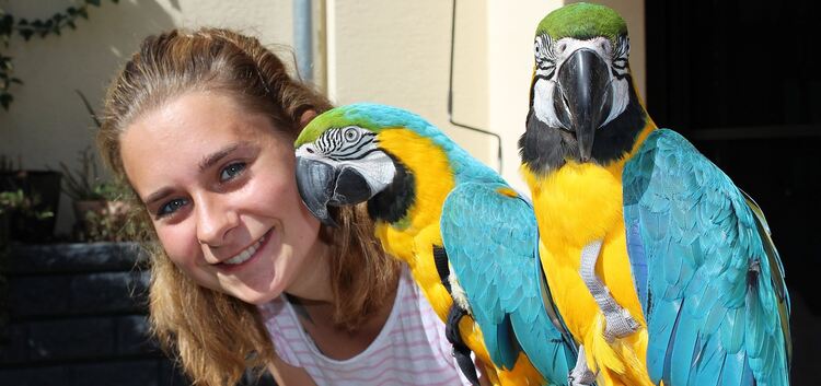 Durch tägliches Training mit den Vögeln gewinnt Anke Müller das Vertrauen der Tiere. Fotos: Caroline Holowiecki
