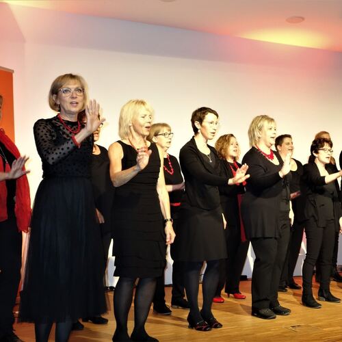 Der Frauenchor begeisterte die Zuhörer. Foto: Gabriele Böhm