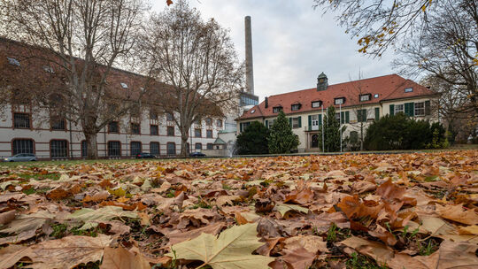 Das Technikum Laubholz soll in die Gebäude der ehemaligen Papierfabrik Scheufelen einziehen. Über die Nutzung der Grundstücke mu