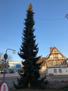 Nächstes Jahr wird der Weihnachtsbaum zur Chefsache