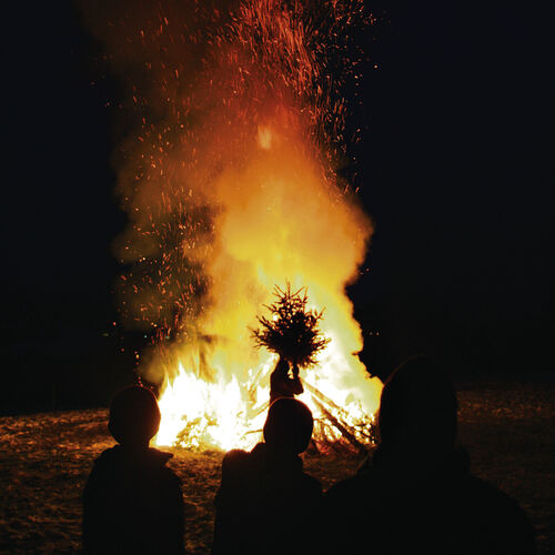 In Gutenberg werden Weihnachtsbäume verbrannt. Symbolbild: Jörg Bächle