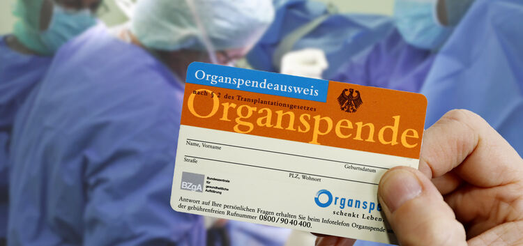 Bundesweit gab es 2018 insgesamt 955 Organspender, die meisten spendeten ihre Niere. Auf der Warteliste für den Erhalt einer Spe