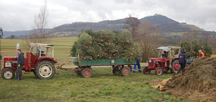 Mit Traktoren werden die ausgedienten Christbäume zur Sammelstelle gekarrt.Foto: pr