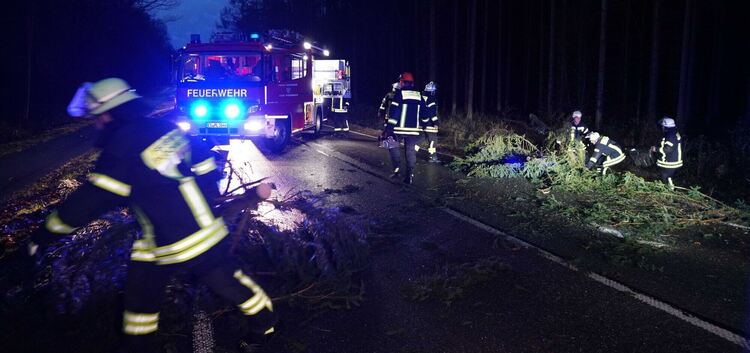 Zwischen Plochingen und Aichwald musste die Feuerwehr einen umgestürzten Baum von der Straße holen. Foto: SDMG/Kohls