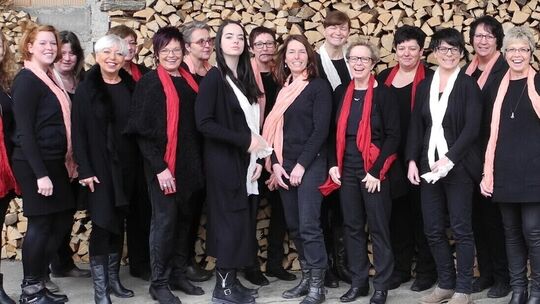 Anima musica: ein reiner Frauenchor. Foto: pr Anima musica: ein reiner Frauenchor. Foto: pr