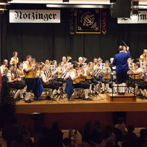 Begeisterte das Publikum: das Blasorchester Notzingen-Wellingen.