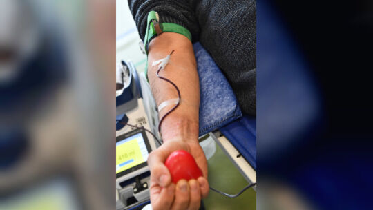 Der richtige Mix aus Anspannung und Lockerheit ist die halbe Miete. Beim Blutspenden kann auch der rote Gummiball helfen. Den Bl