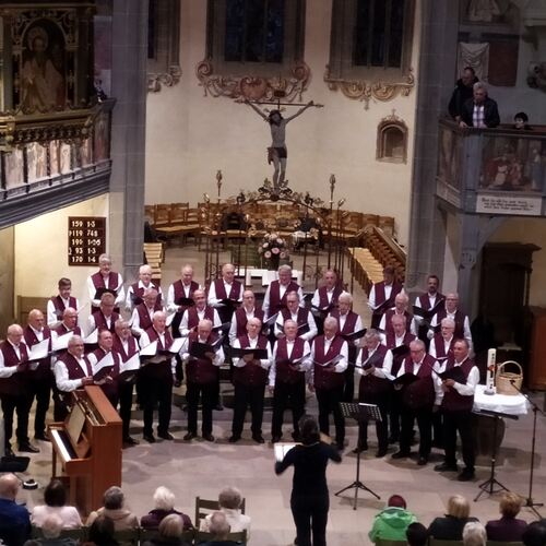 Die 35 Männer des Chors aus Hepsisau haben nicht nur klassische Stücke im Repertoire. Foto: Jürgen Leinbach