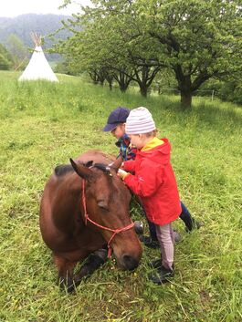 Kinder lernen den Umgang mit Pferden. Foto: pr