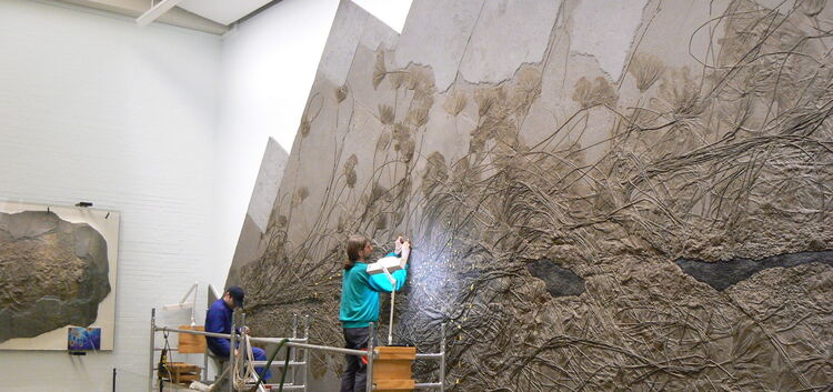 Das eindrucksvollste Stück des Urweltmuseums Hauff muss komplett restauriert werden: Die weltgrößte Seelilienkolonie ist von Mar