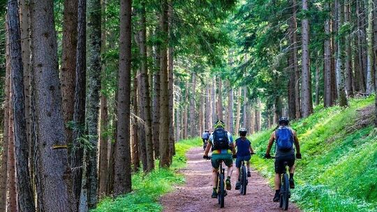 Viele Radfahrer - viele Unfälle. Symboldbild