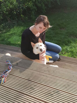 Lisa Zimmermann mit ihrem Hund Milo auf der Terrasse ihrer WG bei Dublin.Foto: privat
