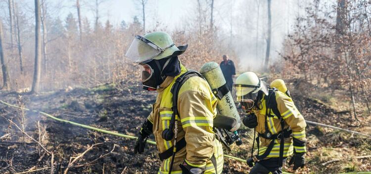 Die Feuerwehr teilte mit, dass die Angabe beim Waldbrand von 30 Hektar falsch war und es 3 Hektar sind.<br /><br />Am Sonntagnac