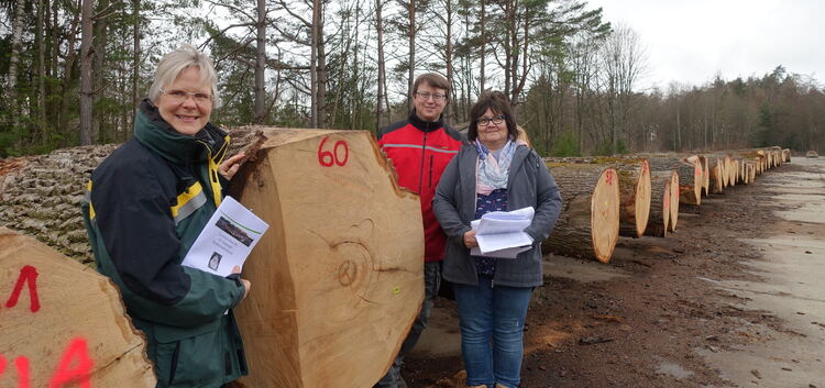Cordula Samuleit die Amtsleiterin des Forstamtes, Thomas Fink und Ursula Czycz von der Holzverkaufstelle des Landkreis Esslingen