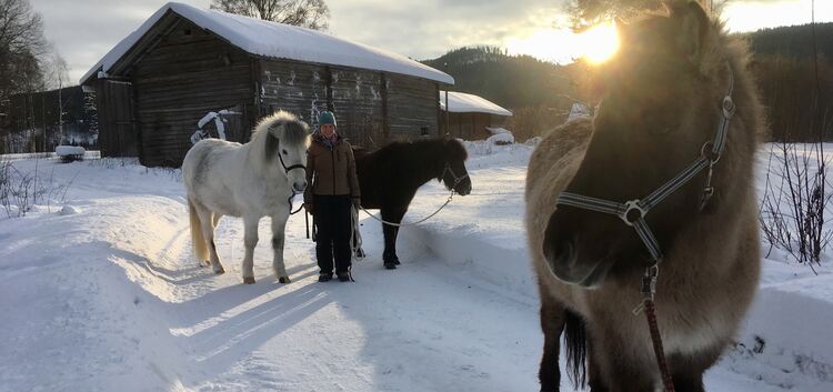 Der Pferdehof in Schweden von Familie Glaser ist wie der Winter Vergangenheit.  Foto: pr