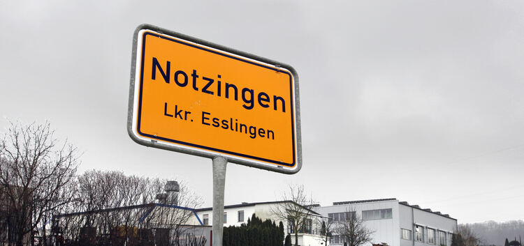Auf dieser Fläche am Ortsrand von Notzingen in Richtung Ötlingen könnte sich ein Discounter ansiedeln. Foto: Jean-Luc Jacques