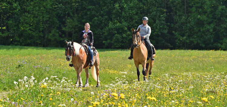 Einen Tagesritt von Weilheim auf die Alb unternommen haben Lena (links) und Lisa mit ihren Pferden Aragon und Cisco. Foto: Marku