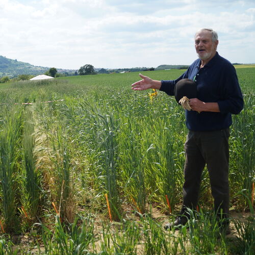 Im Beurener Projektgarten erklärt Professor Jan Sneyd, auf was es beim Anbau alter Getreidesorten ankommt. Foto: Uwe Gottwald