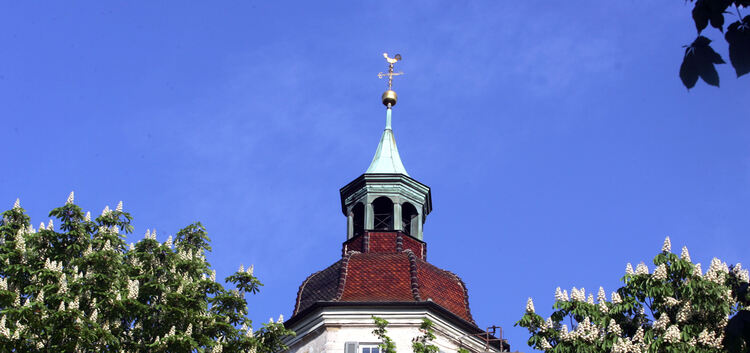 Martinskirche - Frühlingsblüte, Kastanien, Kirchturm