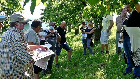 Damit alles seine Richtigkeit hat, führen die Auktionatoren des OGV fein säuberlich ihre Listen. Fotos: Sabine Ackermann Damit alles seine Richtigkeit hat, führen die Auktionatoren des OGV fein säuberlich ihre Listen. Fotos: Sabine Ackermann
