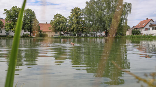 Platz zum Schwimmen haben die Frauen, und die „Kengala“ sehen eigentlich ganz harmlos aus.Fotos: Carsten Riedl Platz zum Schwimmen haben die Frauen, und die „Kengala“ sehen eigentlich ganz harmlos aus.Fotos: Carsten Riedl