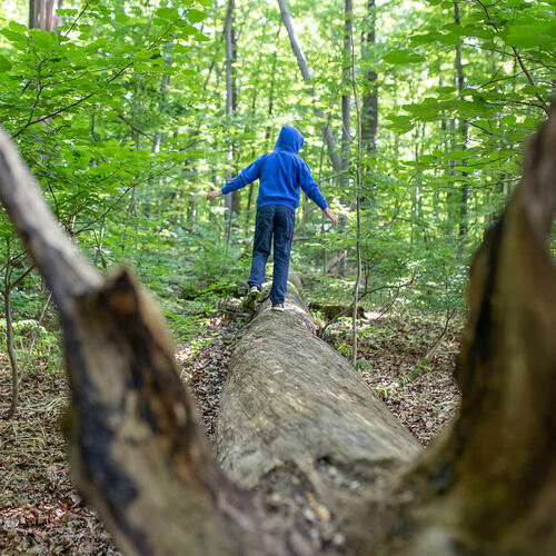 Auf einem Baumstamm balancieren ist eine der Aufgaben auf dem Bewegungspfad. Foto: Carsten Riedl