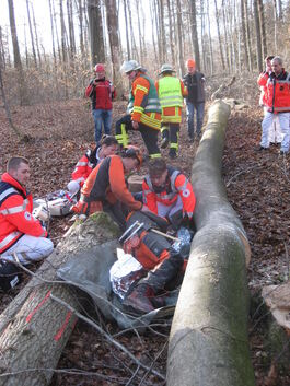 Rettungskräfte versorgten bei der Übung einen „verletzten“ Waldarbeiter.Foto: la