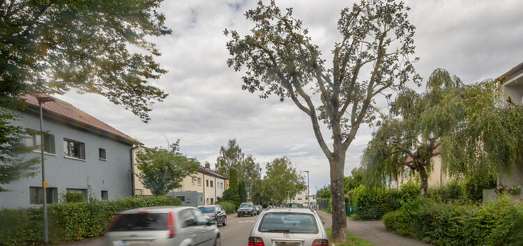 Autos sollen in der Straße „Milcherberg“ weiterhin auf beiden Seiten parken können - rechts allerdings zwischen den Bäumen, auf