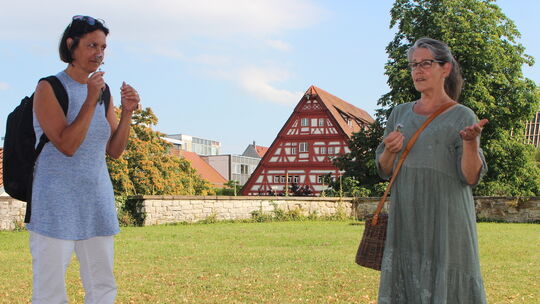 Zu entdecken gibt es Kräuter in Kirchheims Innenstadt auch auf der Bastion auf dem Schloss. Unter die Lupe nimmt Christel Ströbe