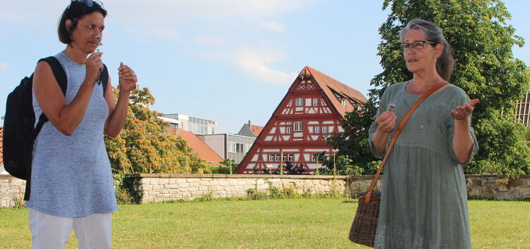 Zu entdecken gibt es Kräuter in Kirchheims Innenstadt auch auf der Bastion auf dem Schloss. Unter die Lupe nimmt Christel Ströbe