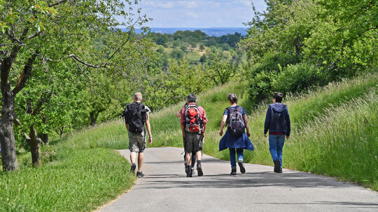 Die Lust am Wandern soll mit dem Angebot geweckt werden. Foto: Markus Brändli