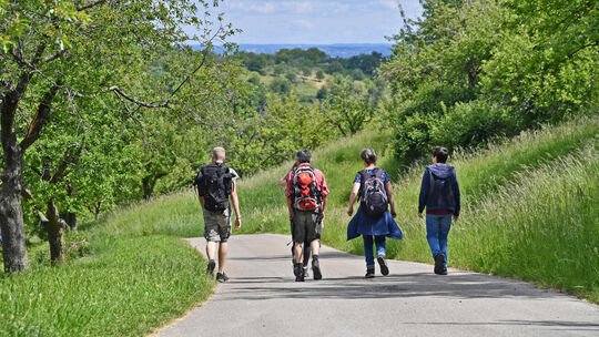 Die Lust am Wandern soll mit dem Angebot geweckt werden. Foto: Markus Brändli Die Lust am Wandern soll mit dem Angebot geweckt werden. Foto: Markus Brändli