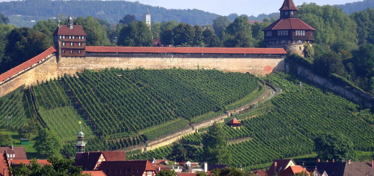 Die Esslinger Burg ist das Wahrzeichen der Stadt und wird beim Aktionstag erkundet.