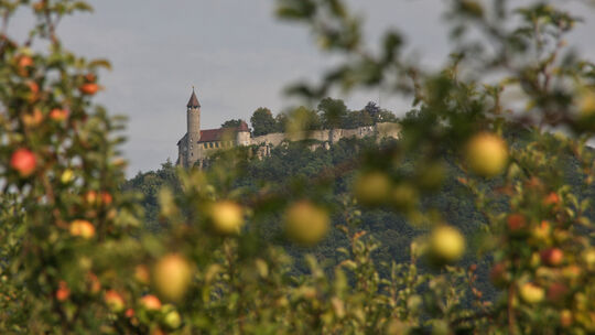 In diesem Jahr öffnen die Obstannahmestellen deutlich früher als sonst. Archivfotos: Natalie Becker In diesem Jahr öffnen die Obstannahmestellen deutlich früher als sonst. Archivfotos: Natalie Becker