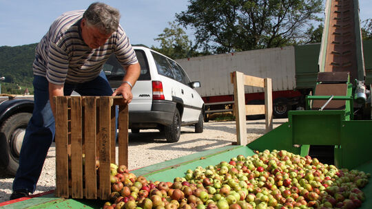 In diesem Jahr öffnen die Obstannahmestellen deutlich früher als sonst.Archivfotos: Natalie Becker