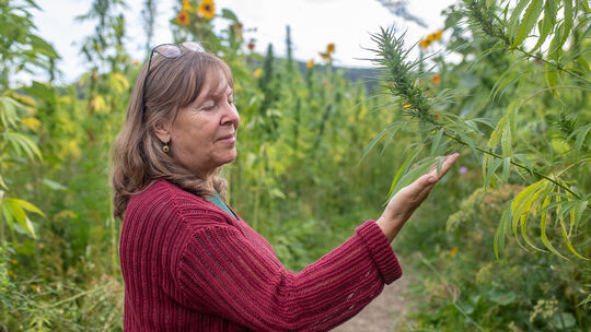 Kornelia Marzini von der bayerischen Landesanstalt für Weinbau und Gartenbau hat in elf Jahren die Biogas-Hanf-Mischung entwicke