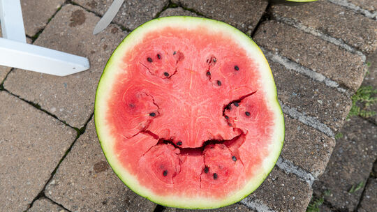 Melonen Melone Ohmden Zell Acker Ackerbau