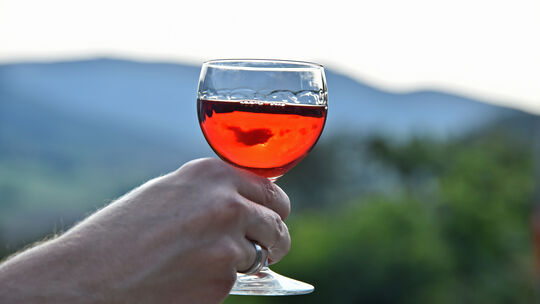 Hauptweinlese an der limburg, Wein, Weinlese, Weinberg, Weinanbau, Weinprobe
