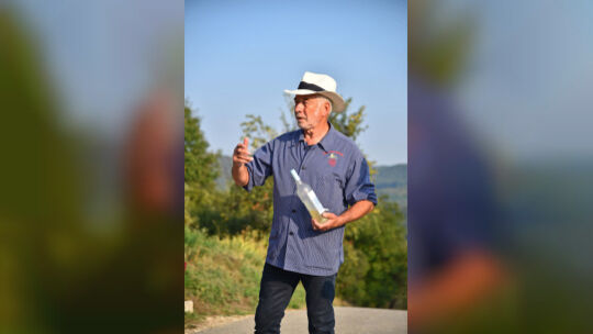 Hauptweinlese an der limburg, Wein, Weinlese, Weinberg, Weinanbau, Weinprobe