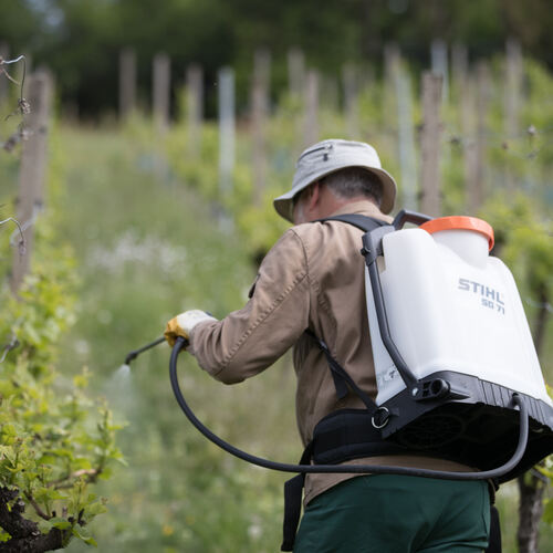 Gespritzt wird bei den Weilheimer Wengertern so wenig wie möglich. Weinbau ganz ohne Pflanzenschutz halten sie zum jetzigen Zeit