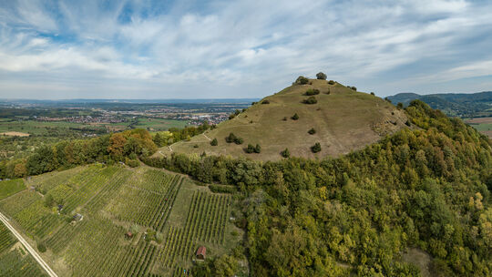 Seit 1990 existiert das Naturschutzgebiet an der Weilheimer Limburg. Foto: Carsten Riedl